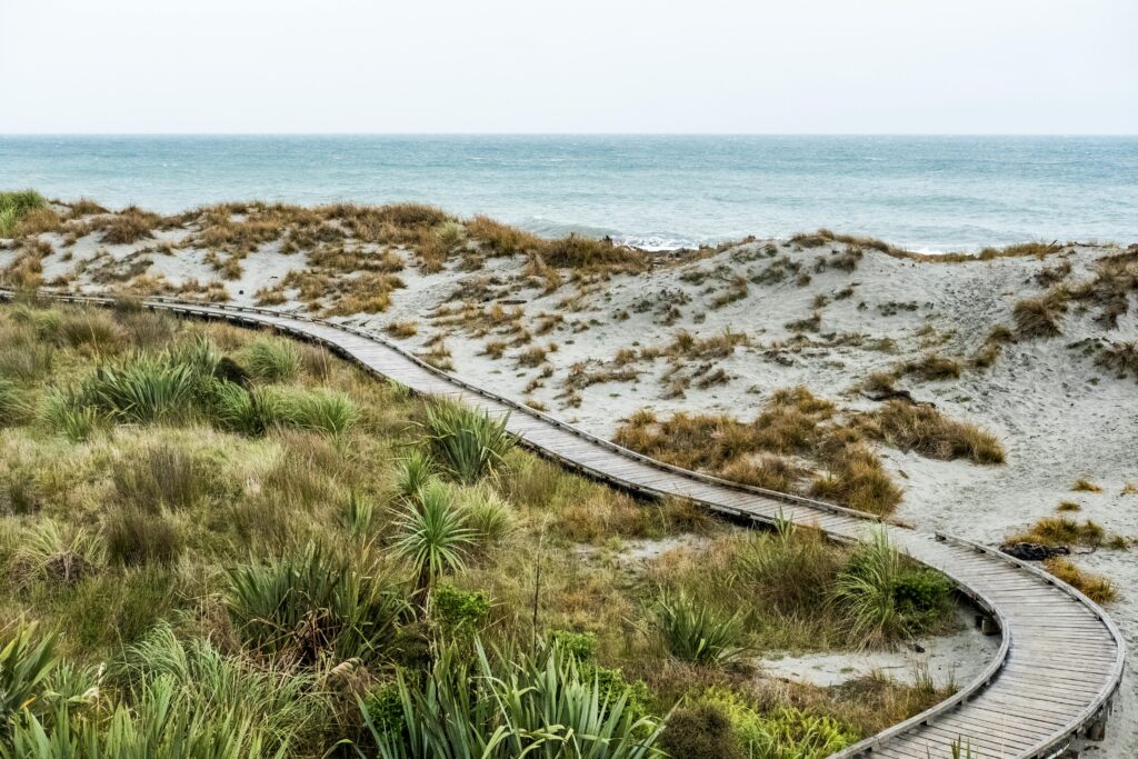 Discover community, cuisine, and connection in Morningside and beyond