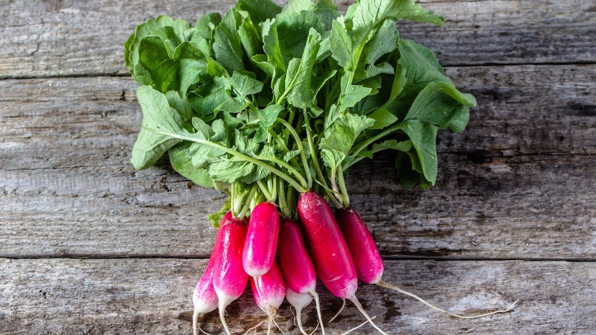 6 Zero-Waste Recipes for Radish, Carrot, and Beet Greens