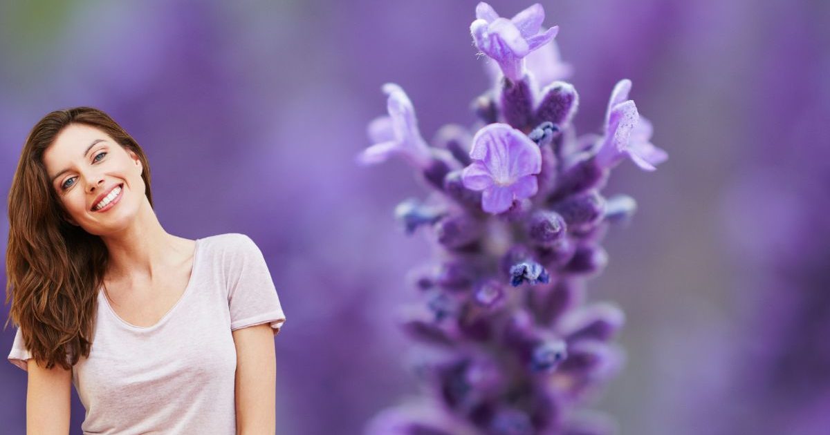 Lavender Plant Meaning: How to Activate Its Powers