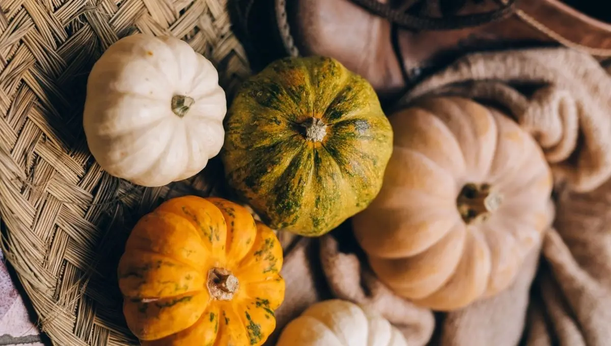 Variedades de calabazas