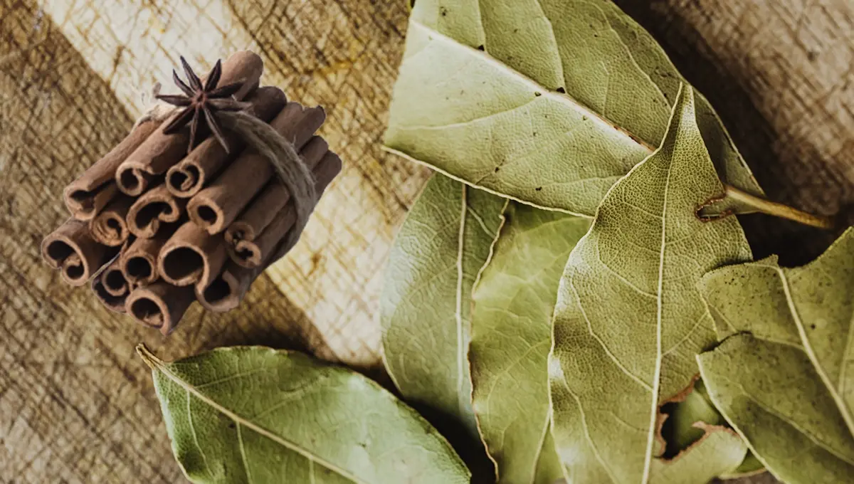 Descubre cómo la combinación de laurel y canela en ayunas ayuda a reducir la hinchazón, mejorar la digestión y calmar los cólicos leves.