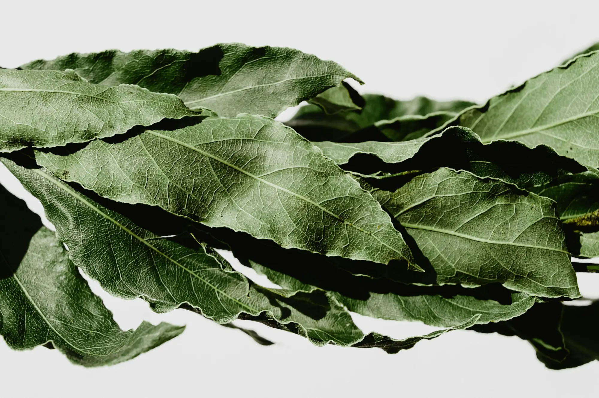 The bay leaf helps reduce stomach gases.